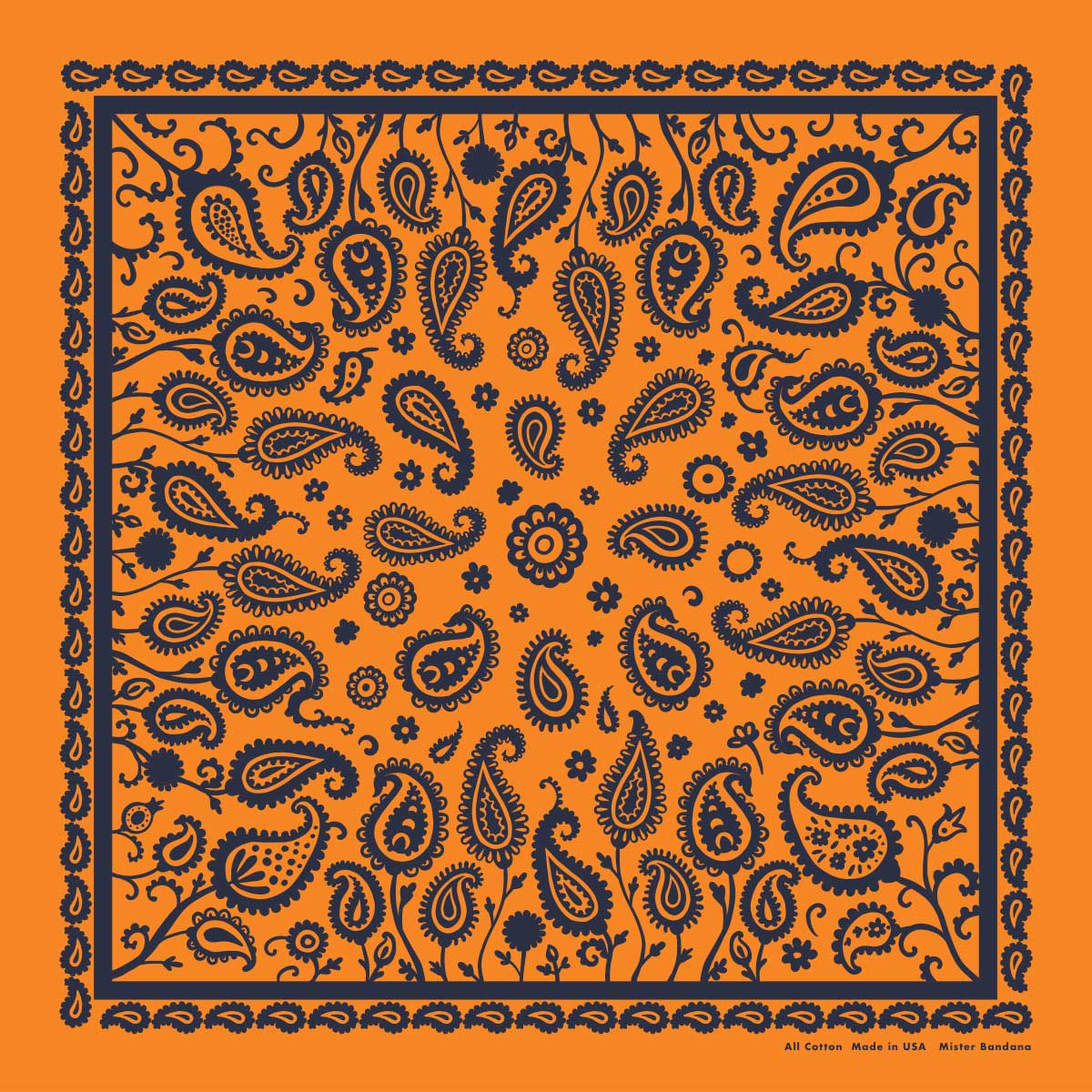 Paisley Supernova