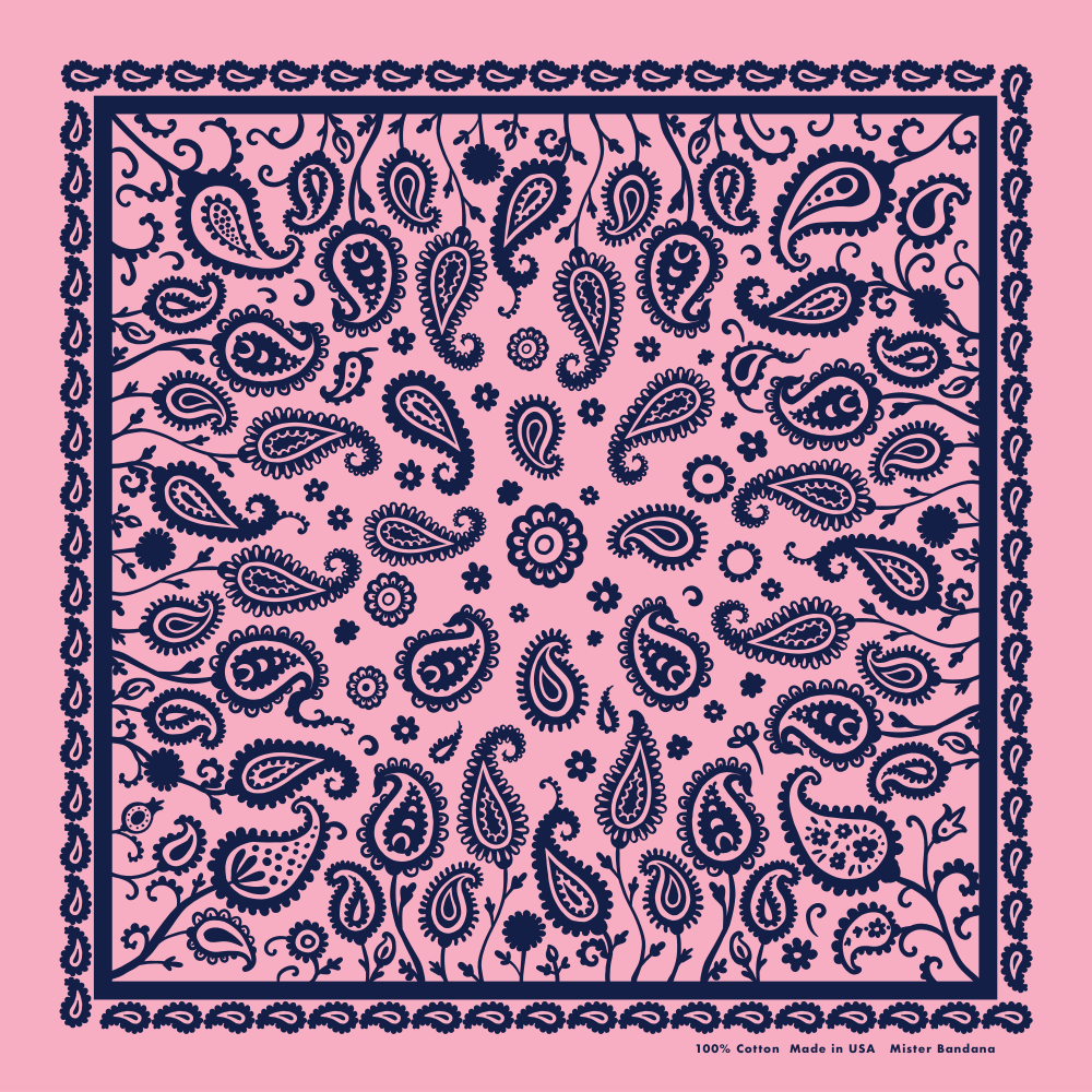 Paisley Supernova