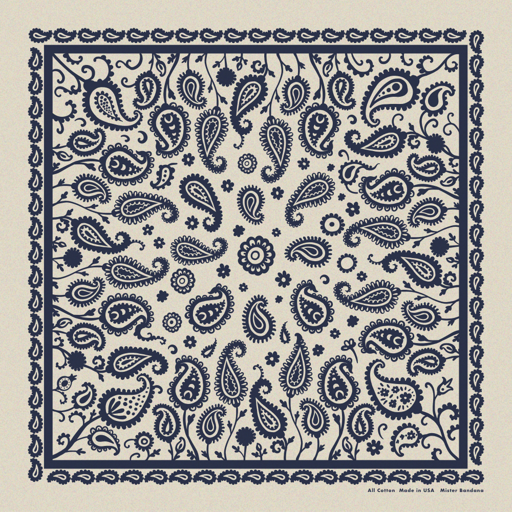 Paisley Supernova