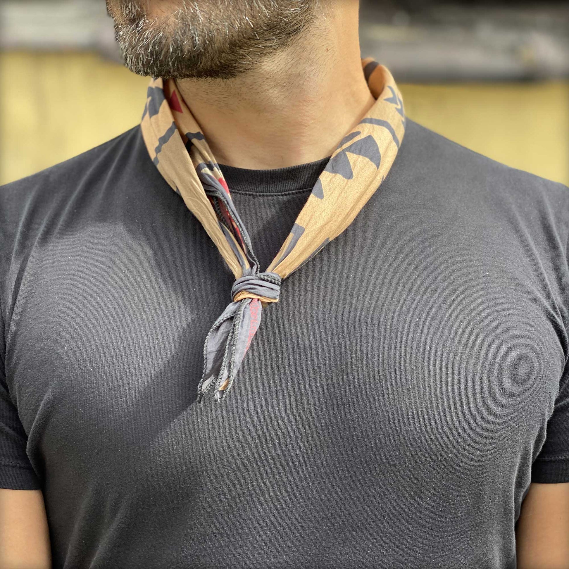 Desert sands, black rocks, and a winged spirit: inspired by the the legendary Native American Thunderbird petroglyphs.