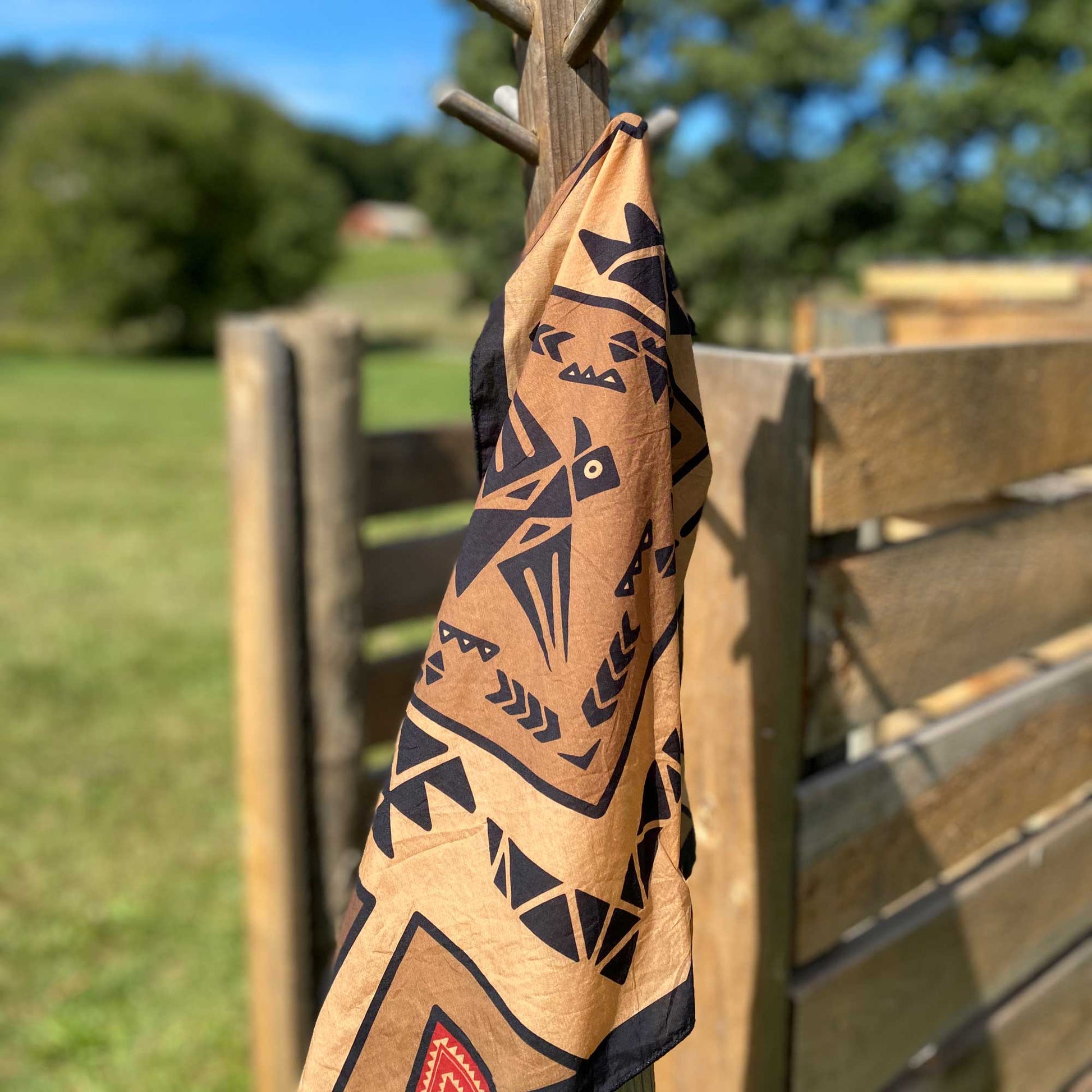 Desert sands, black rocks, and a winged spirit: inspired by the the legendary Native American Thunderbird petroglyphs.