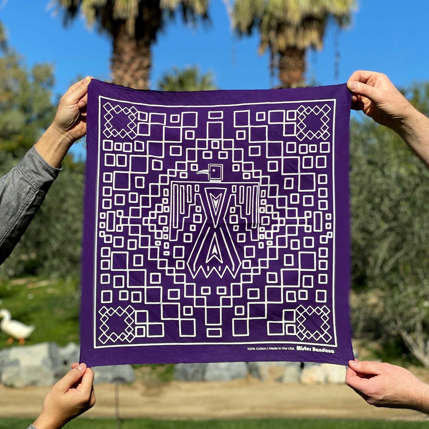 Thunderbird Bandana