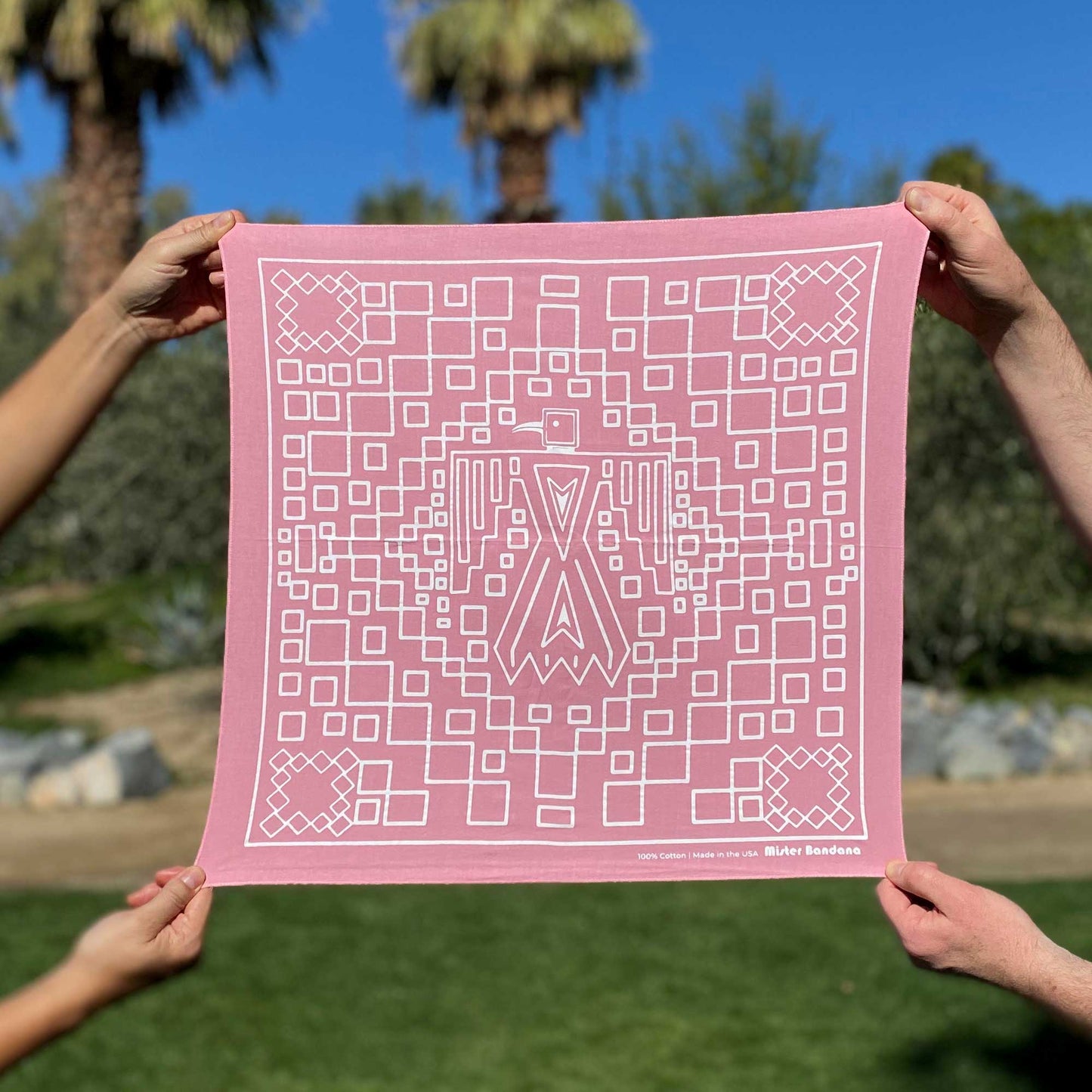 Thunderbird Bandana