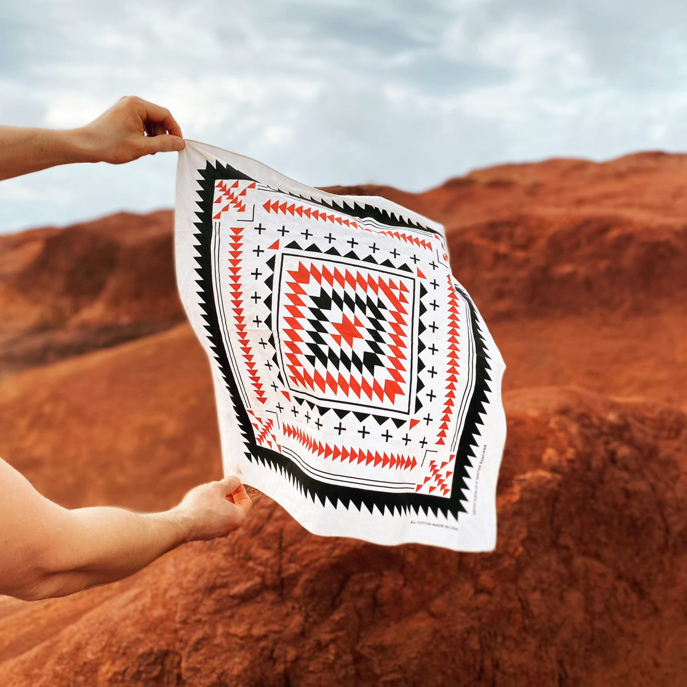 Southwestern Bandanas