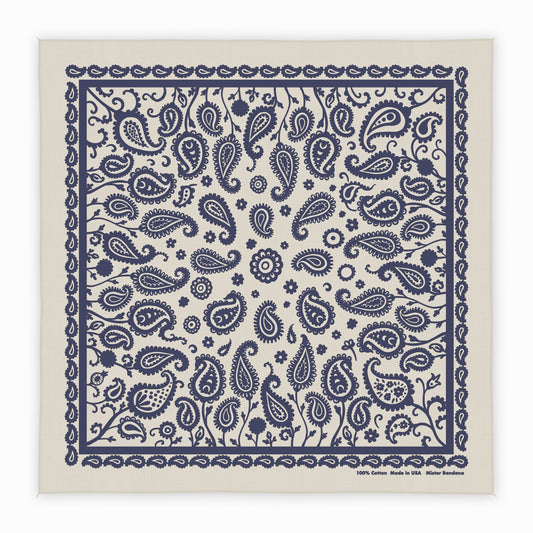 Paisley Supernova