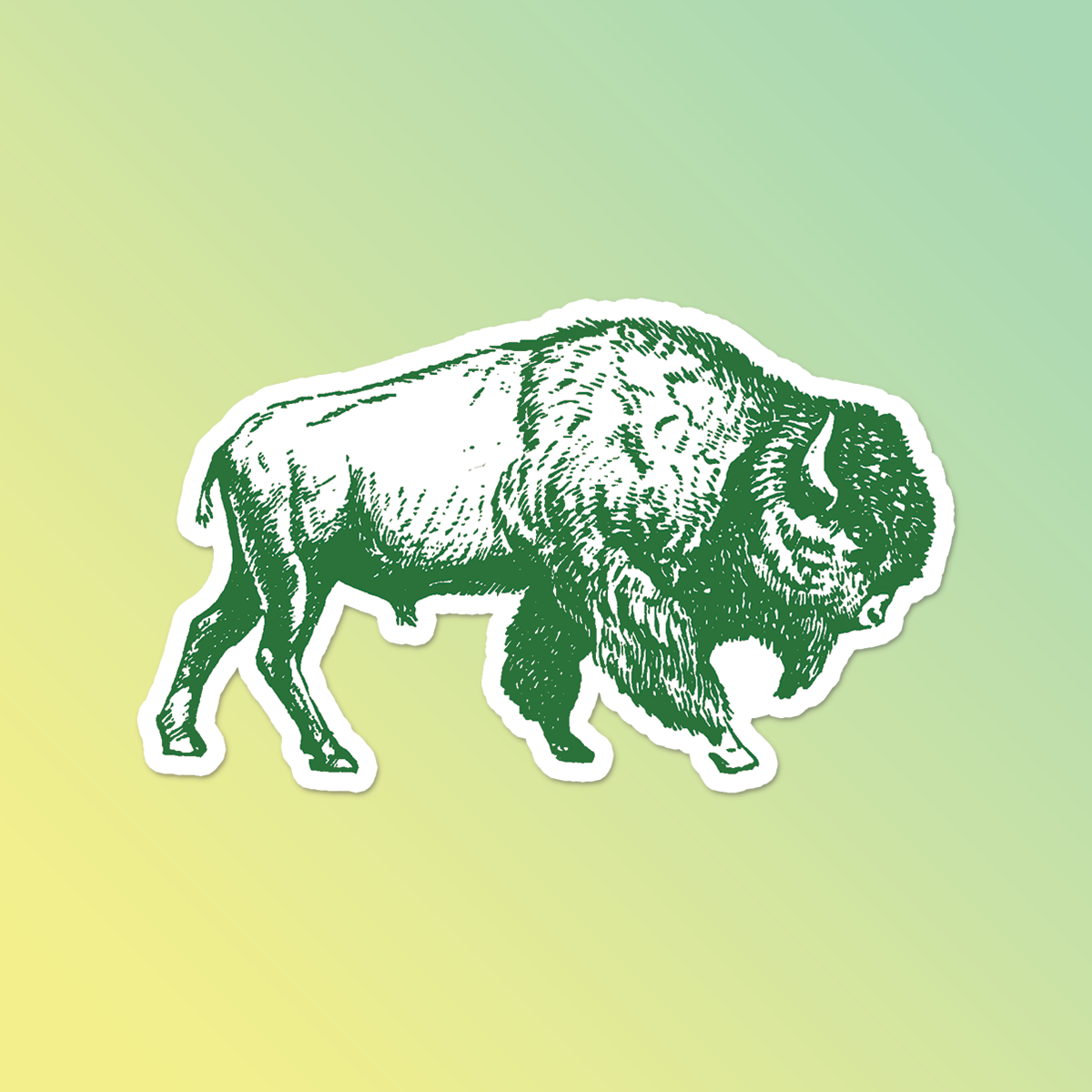Buffel Sticker Buffalo Sticker – Mister Bandana